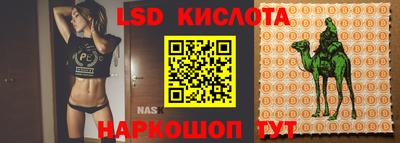 каннабис Сланцы