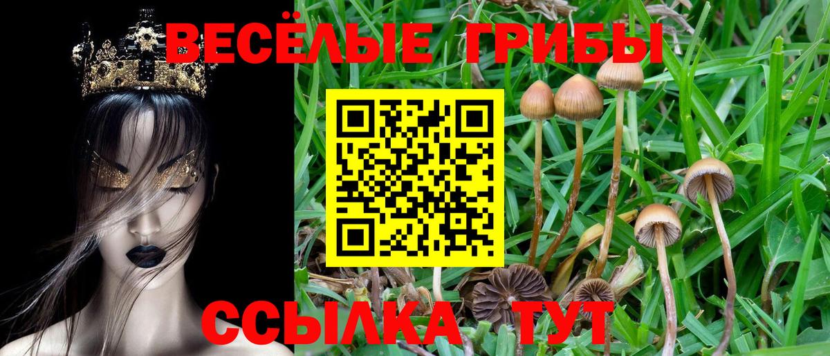 Псилоцибиновые грибы Cubensis  наркота  Мончегорск  Вход с VPN  Галлюциногенные грибы прущие грибы 